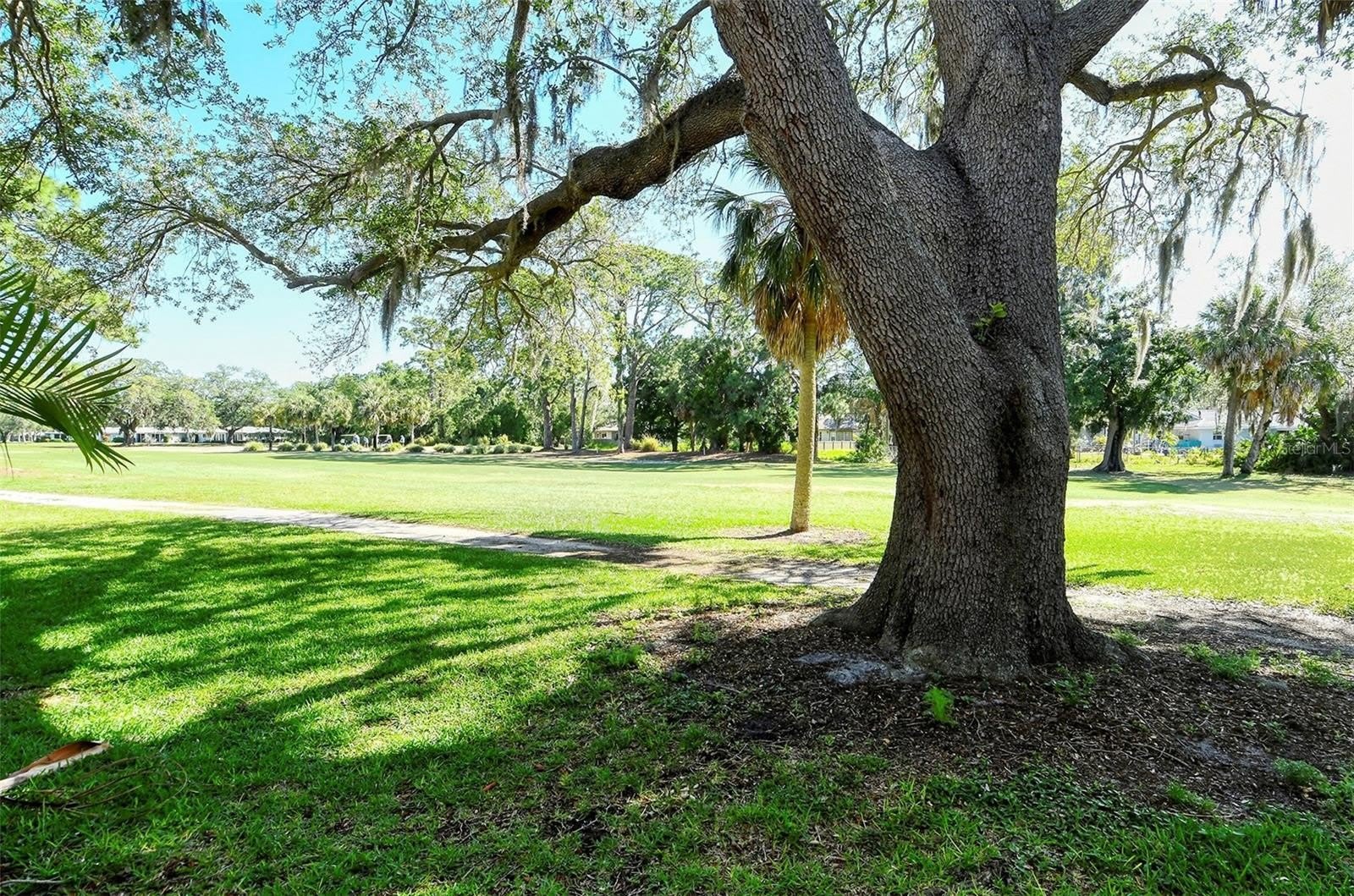 1877 TOUCAN Way – photo 5