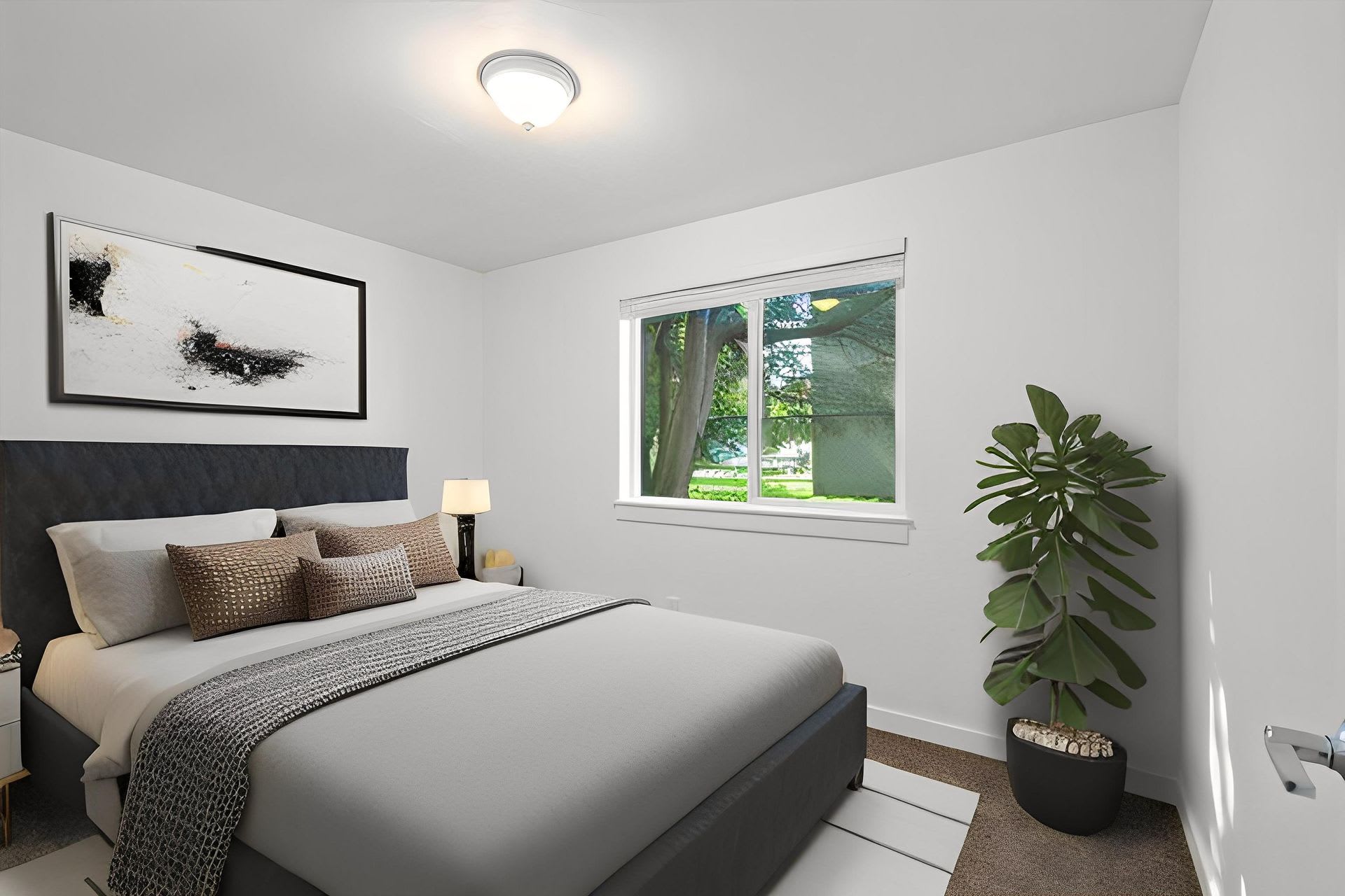Juniper West – photo 4