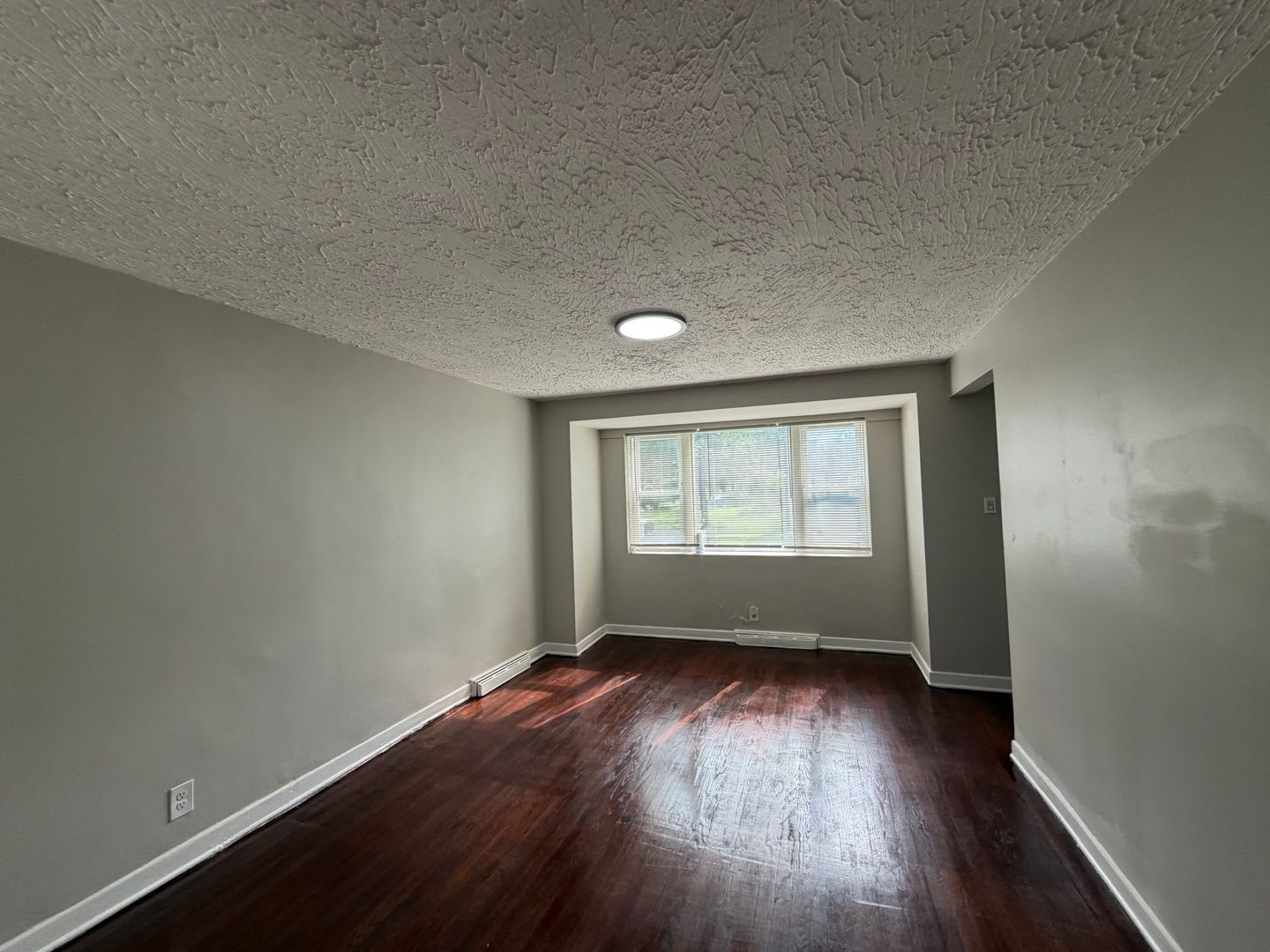 Updated 4-Bedroom Home with Finished Basement – photo 4