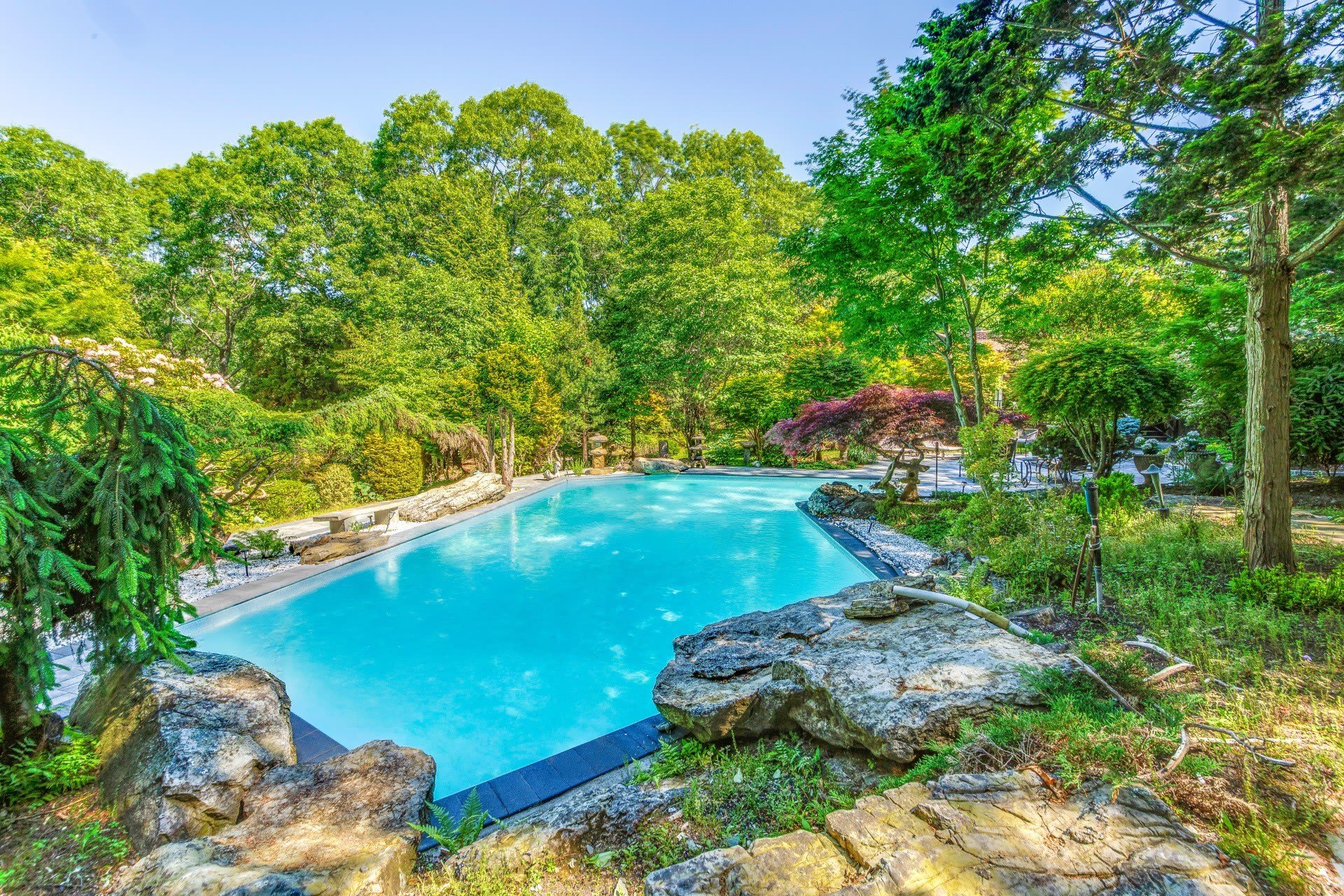 210 Treescape Drive – photo 5