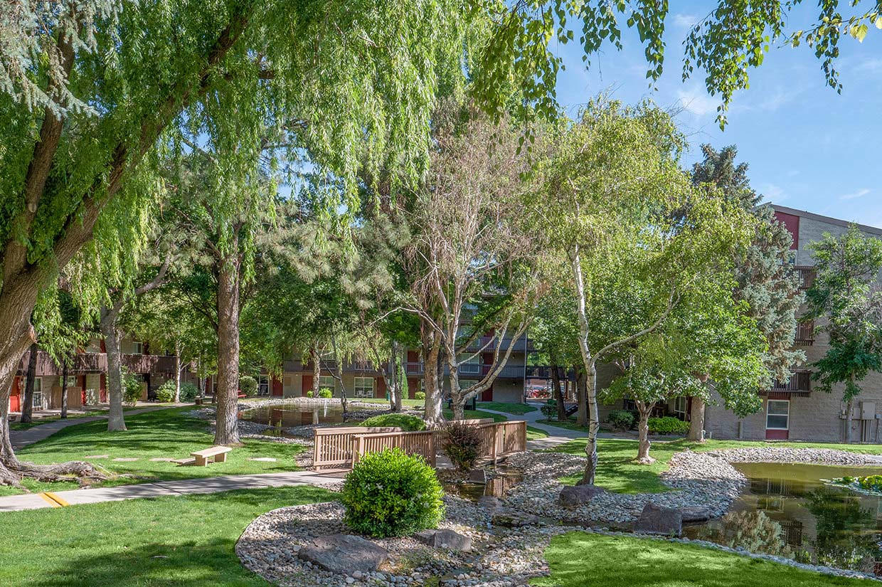 The Pearl at Spring Creek – photo 4