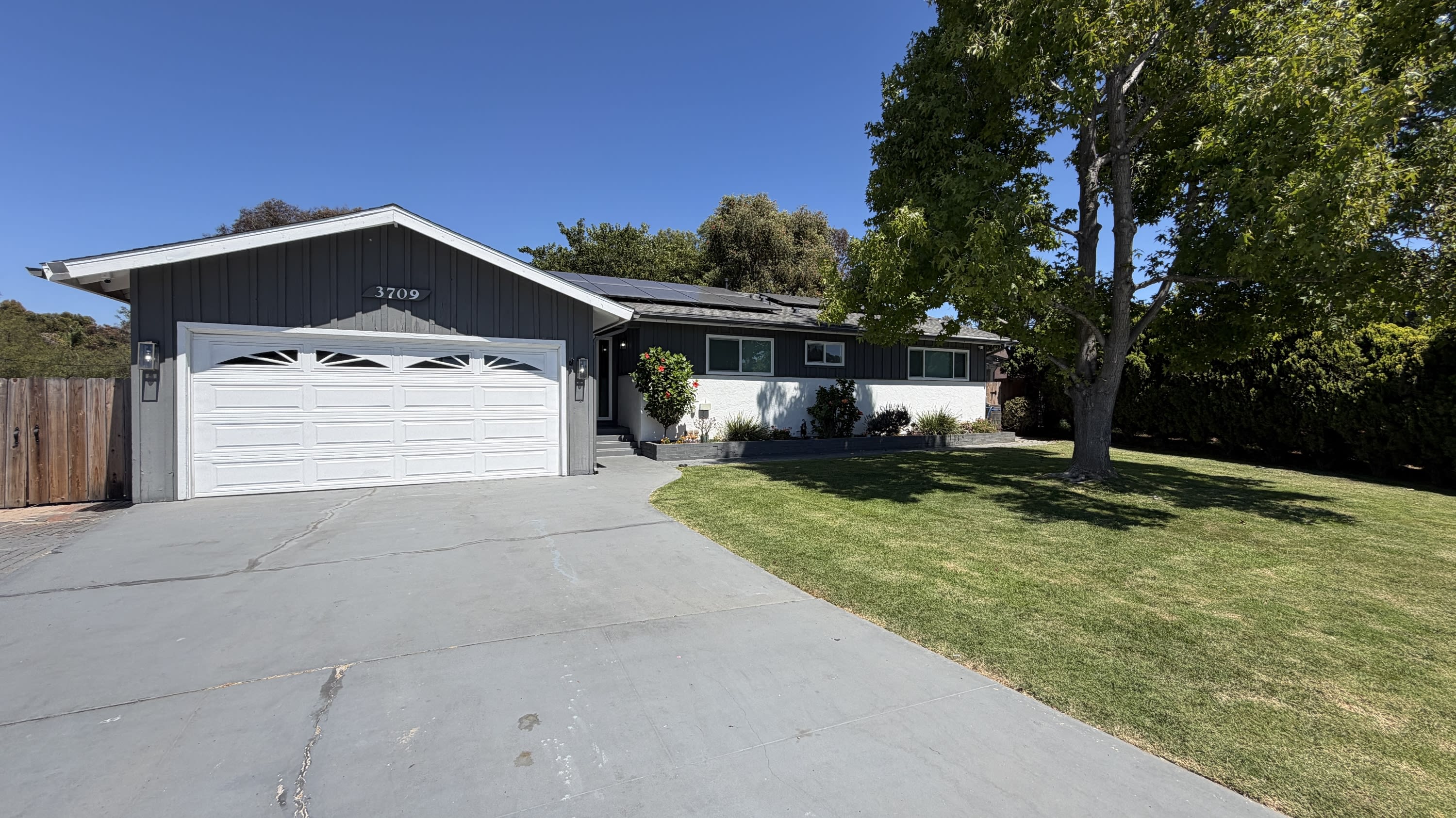 3709 Avenida Palo Verde – photo 1