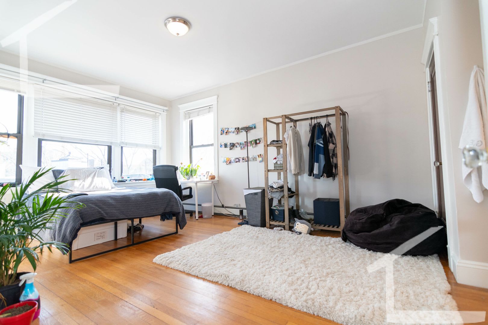 Massive Student Big Bed Near Bu Campus W Ht Hw Included – photo 2