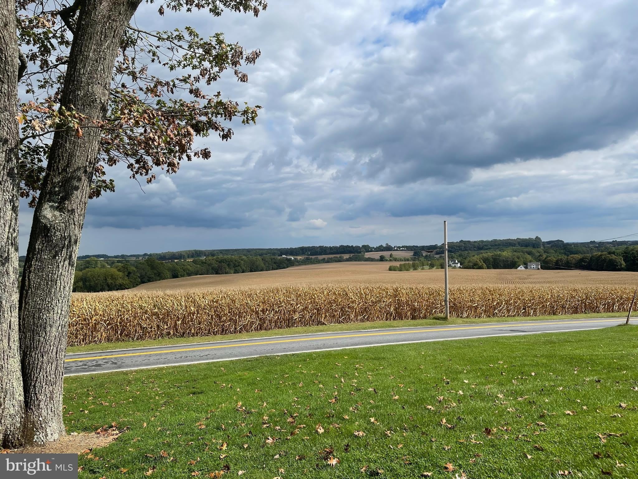 1670 Florence Road – photo 4
