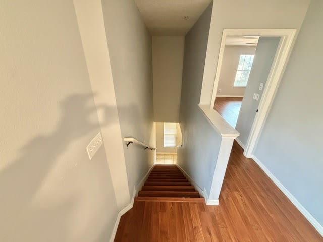 319 Prickle Pear Court – photo 1