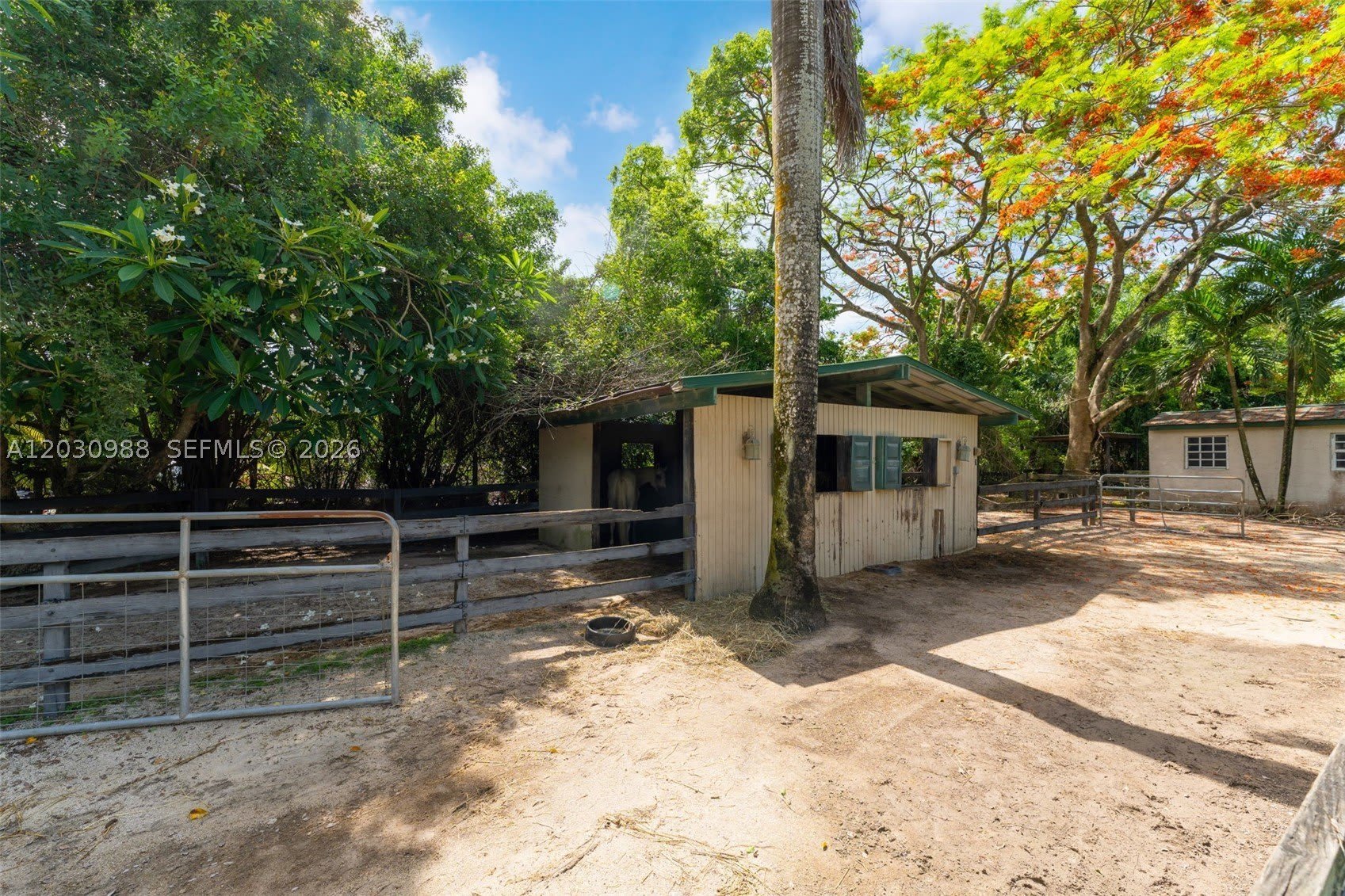 22065 SW 167th Ave – photo 5