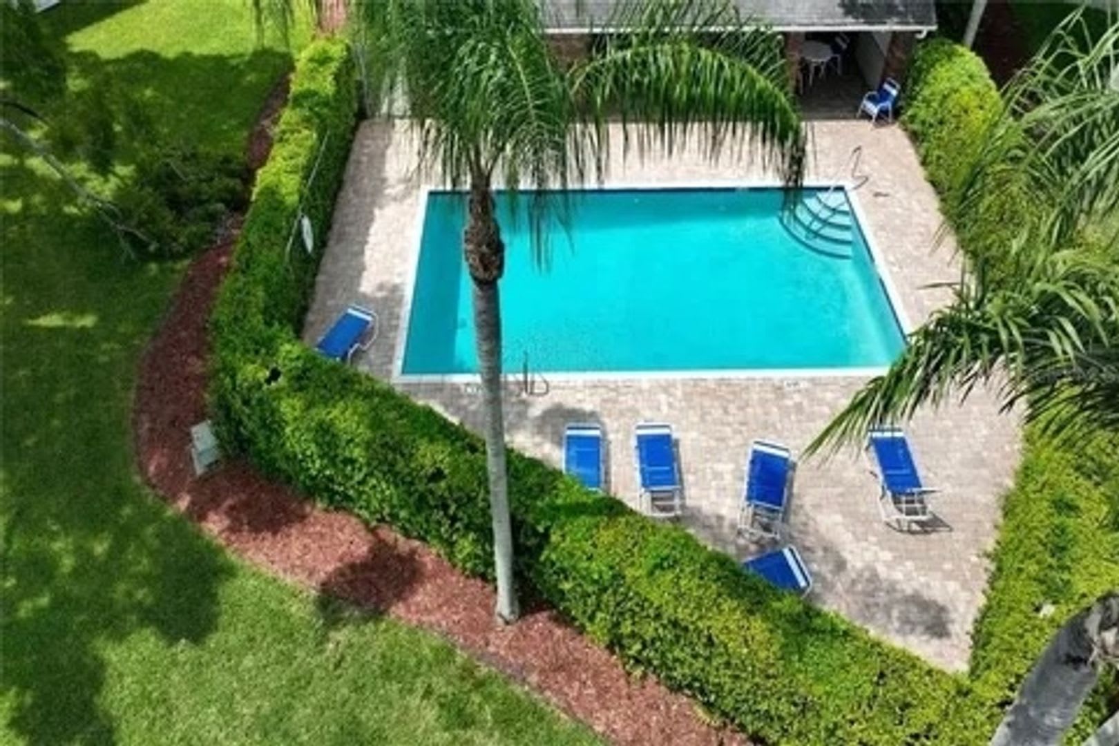 Charming 2BR House in Palm Harbor – photo 4