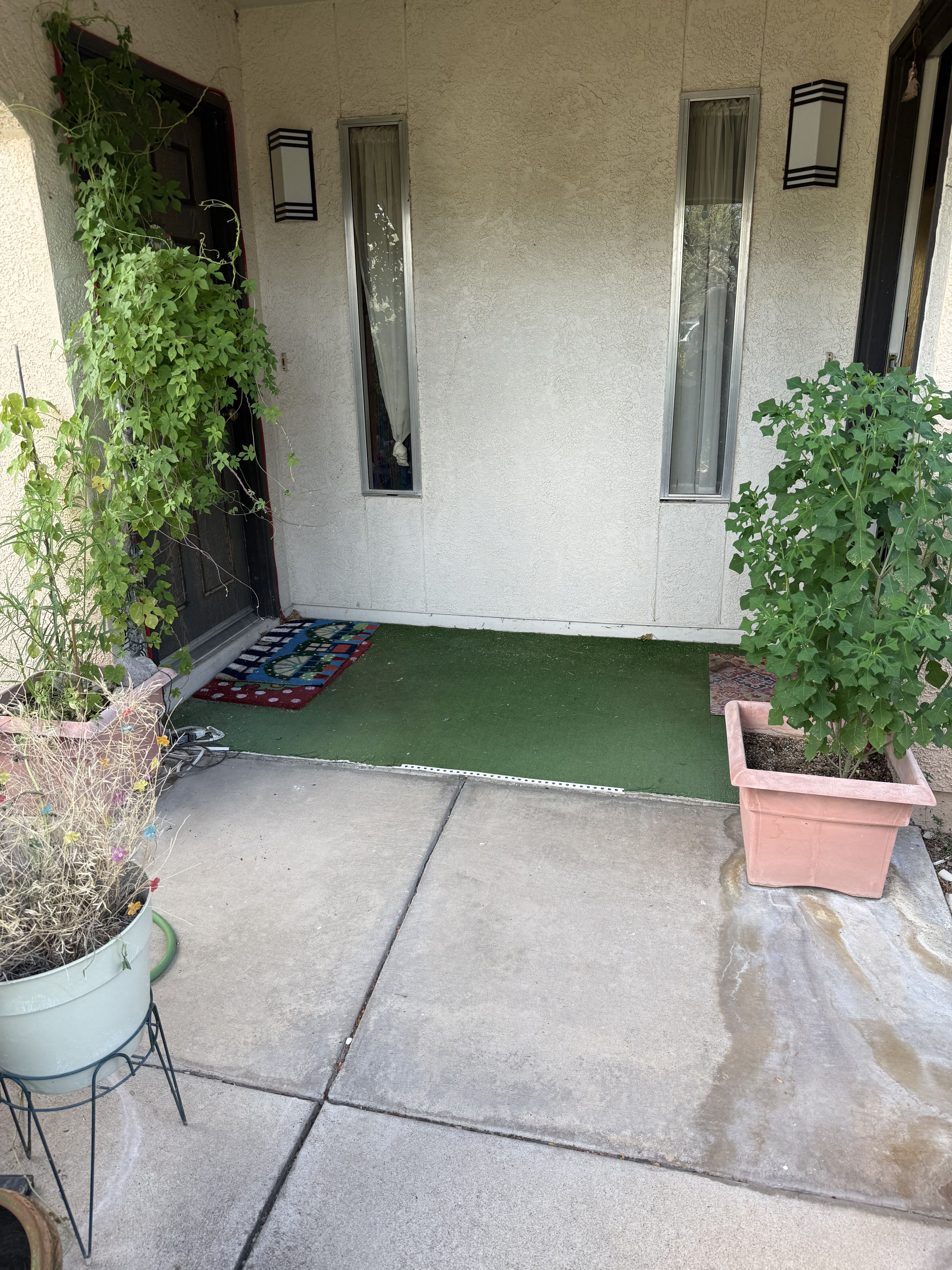 433 avenida Garza – photo 2