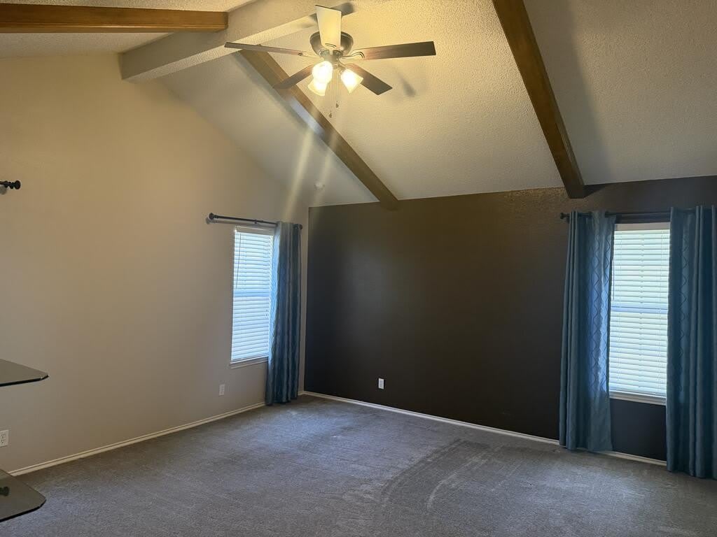 4717 Elma Dr – photo 5