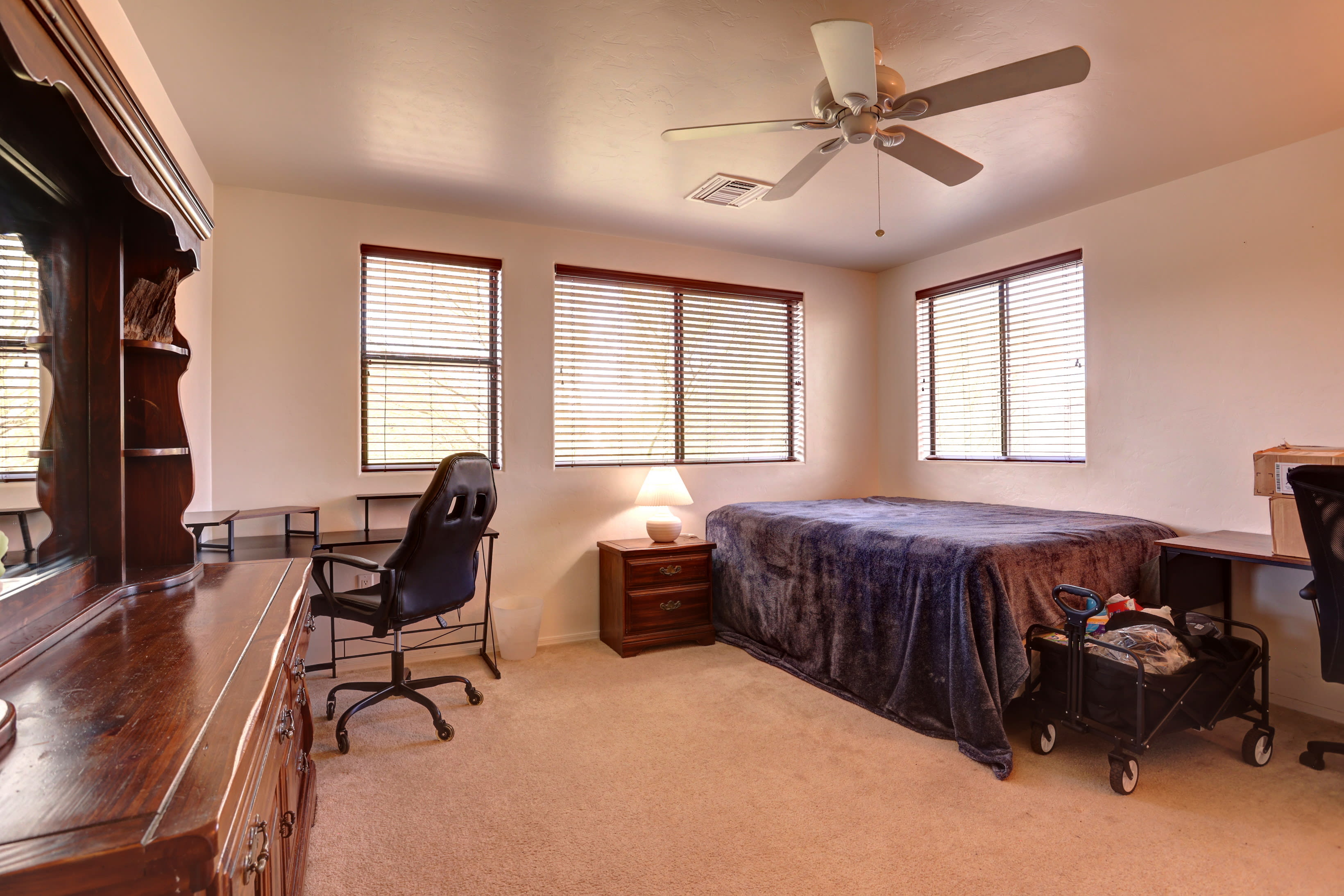 514 East Placita Cuesco – photo 2