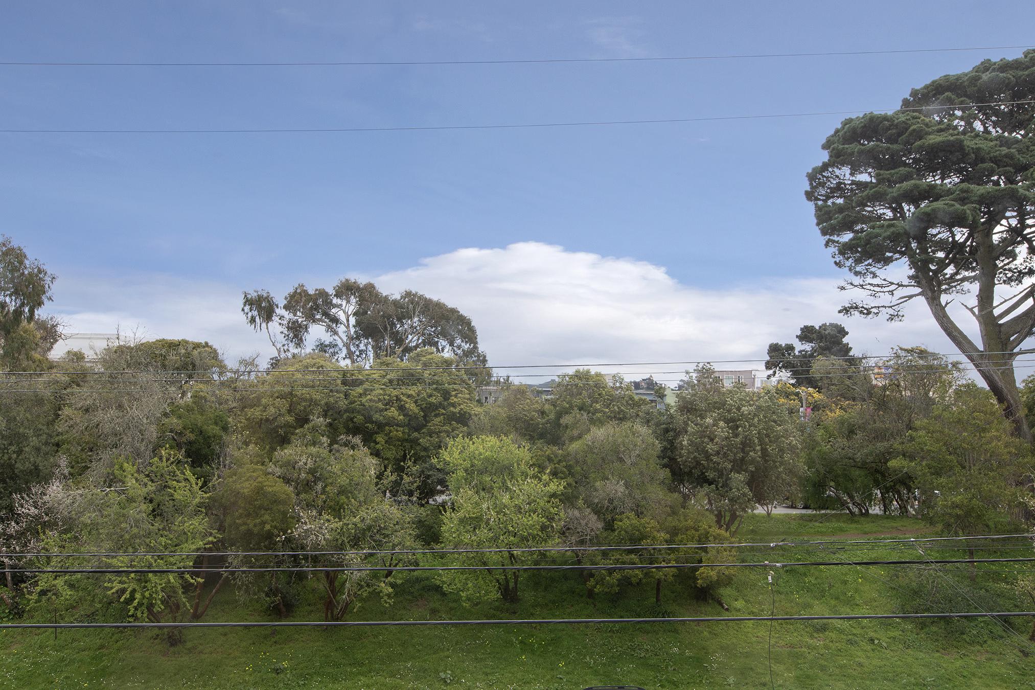 349 14Th Avenue – photo 4