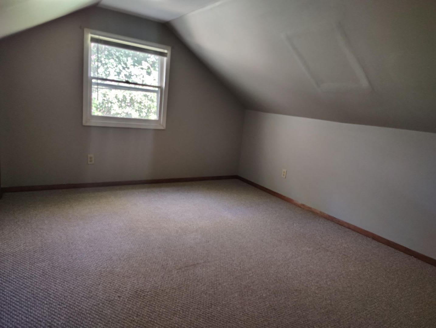 Single Family 4 Bed/2 Bath House for Rent!! – photo 5