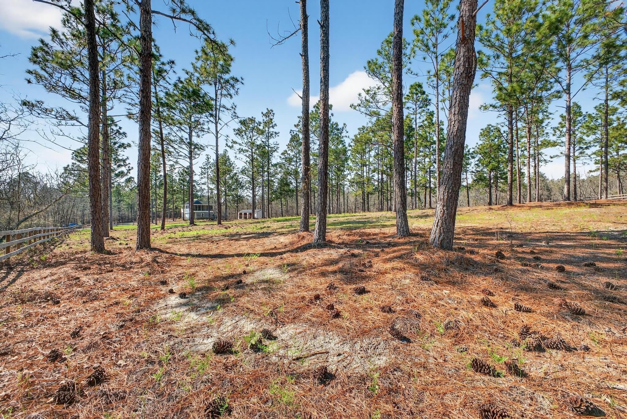 316 Cadle Crossing Road – photo 5