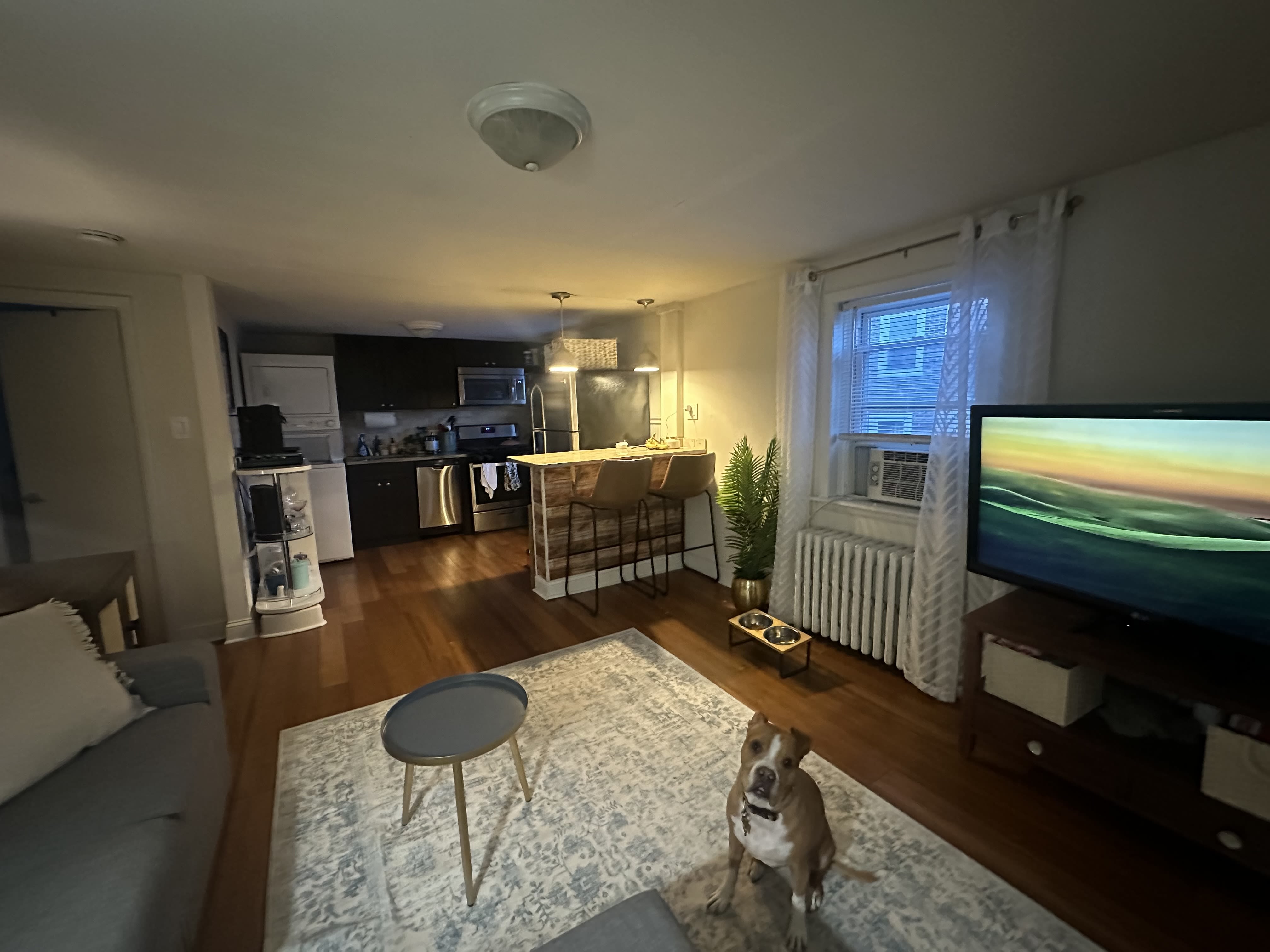 1106 E Moyamensing Ave – photo 2