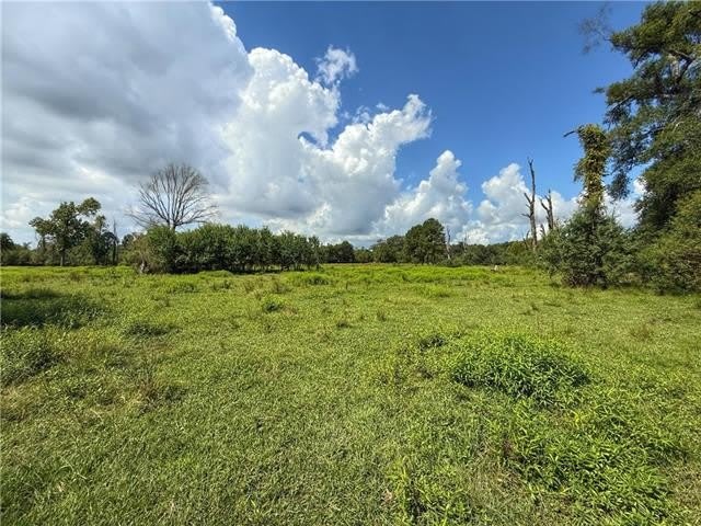 43058 HAPPYWOODS Road – photo 3