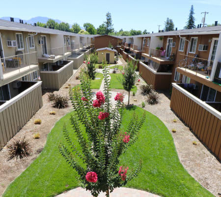 Mountain View Apartments – photo 2