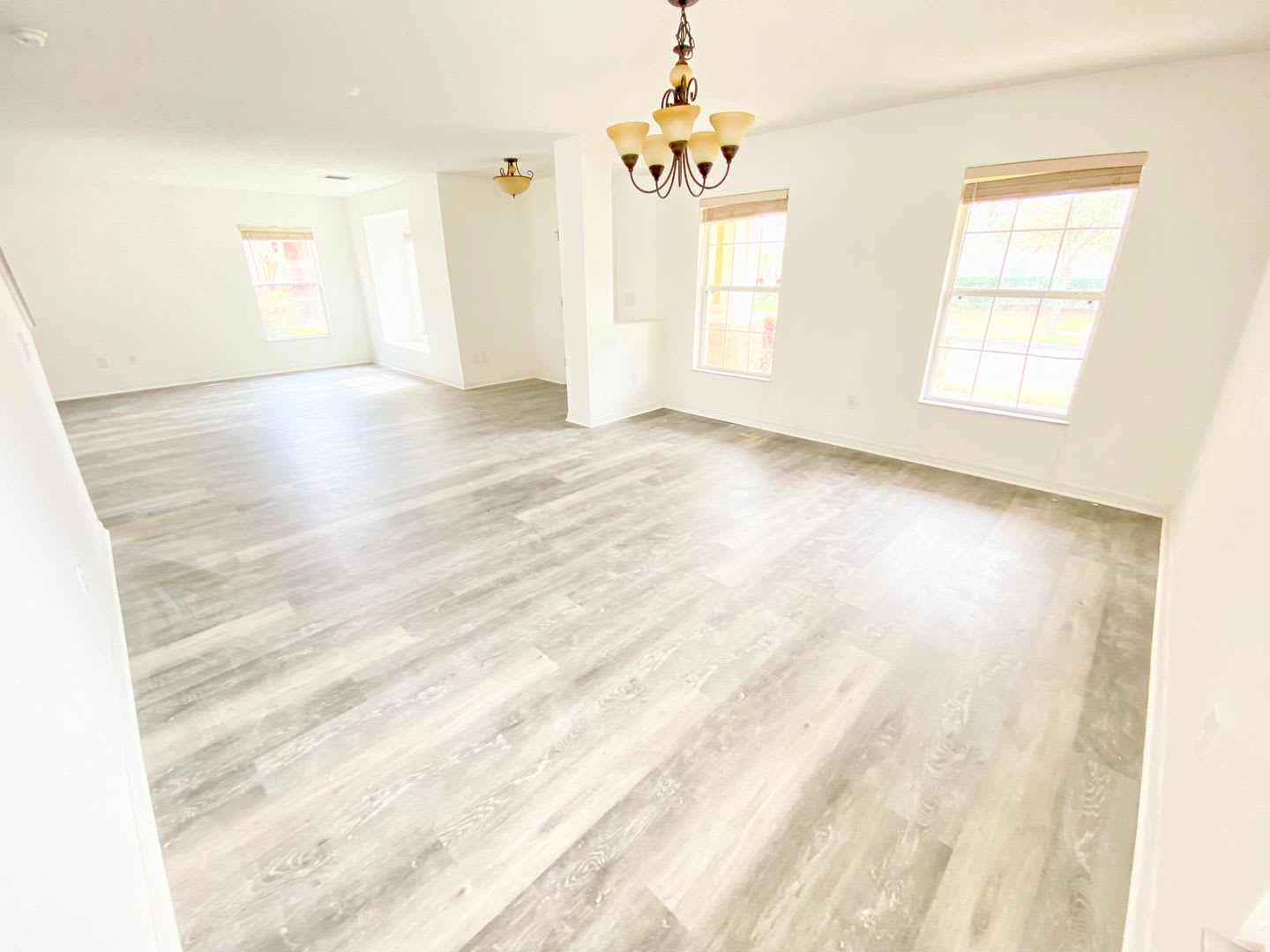 Beautiful Single Family Home in Avalon Park! – photo 4