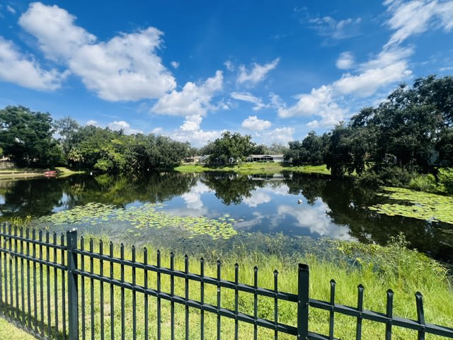 3611 Floyd Rd – photo 3