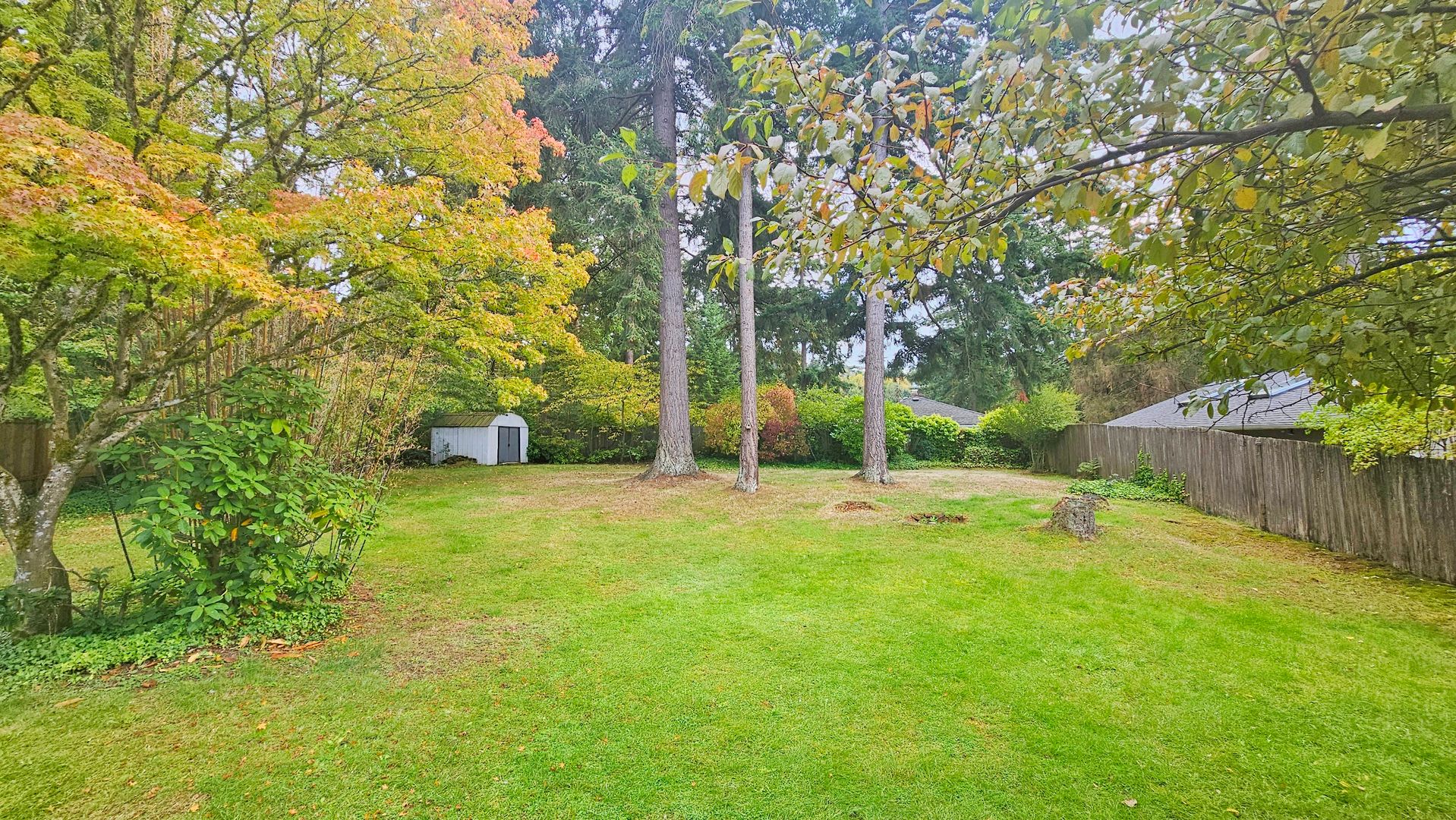 Beautifully Remodeled 3 Bed 2 Bath Rambler in Eastgate, Bellevue – photo 3