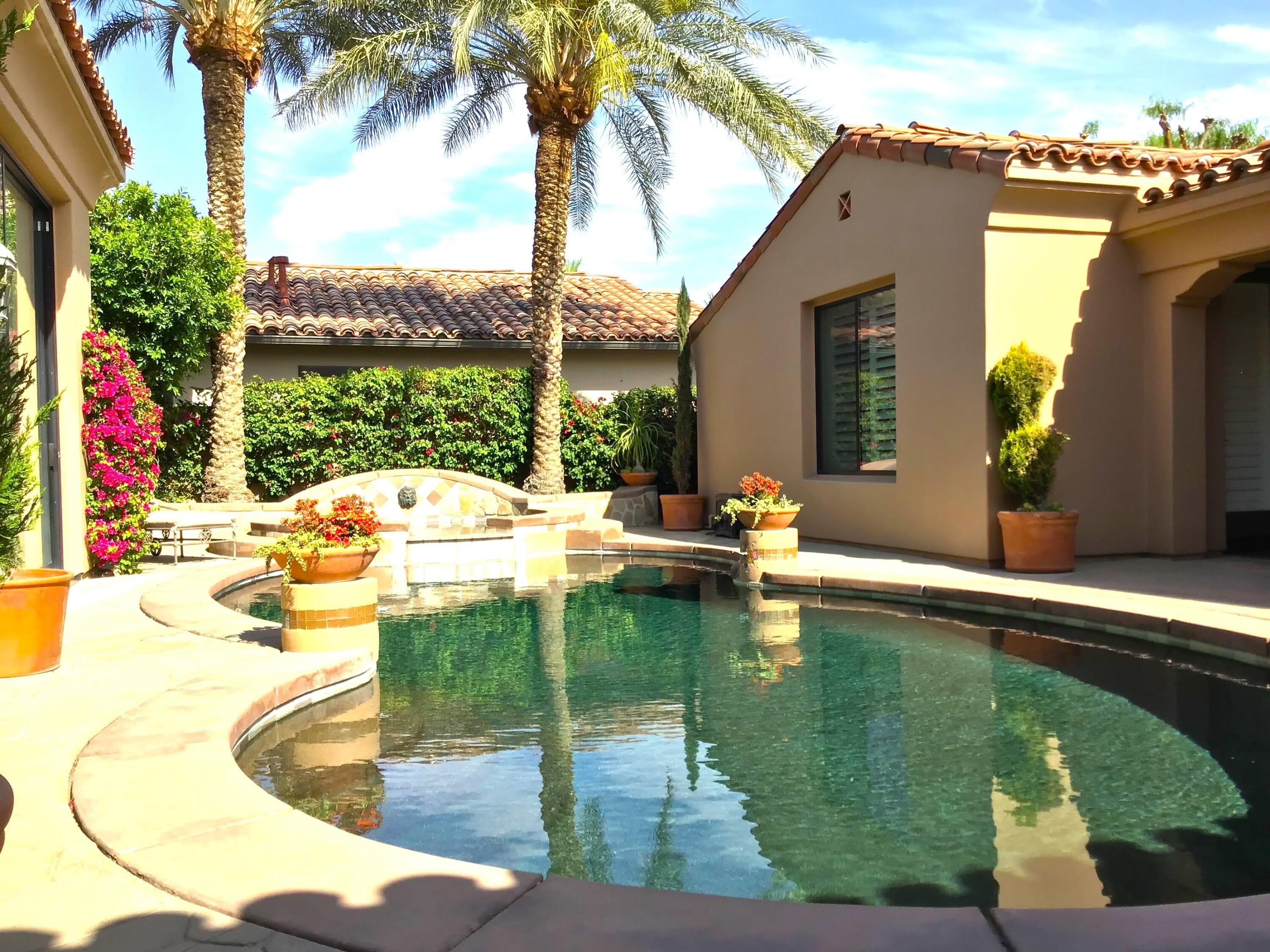 78870 Citrus – photo 5