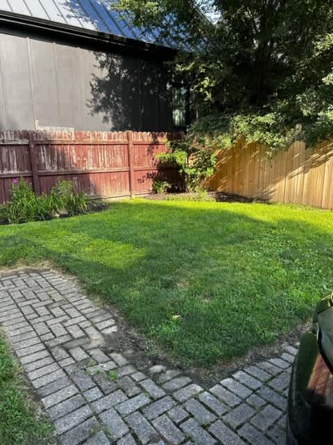149 Punta Alley – photo 5