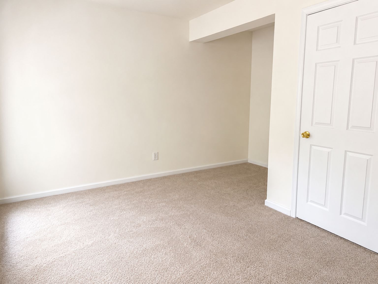 913 Tiger Lane – photo 4