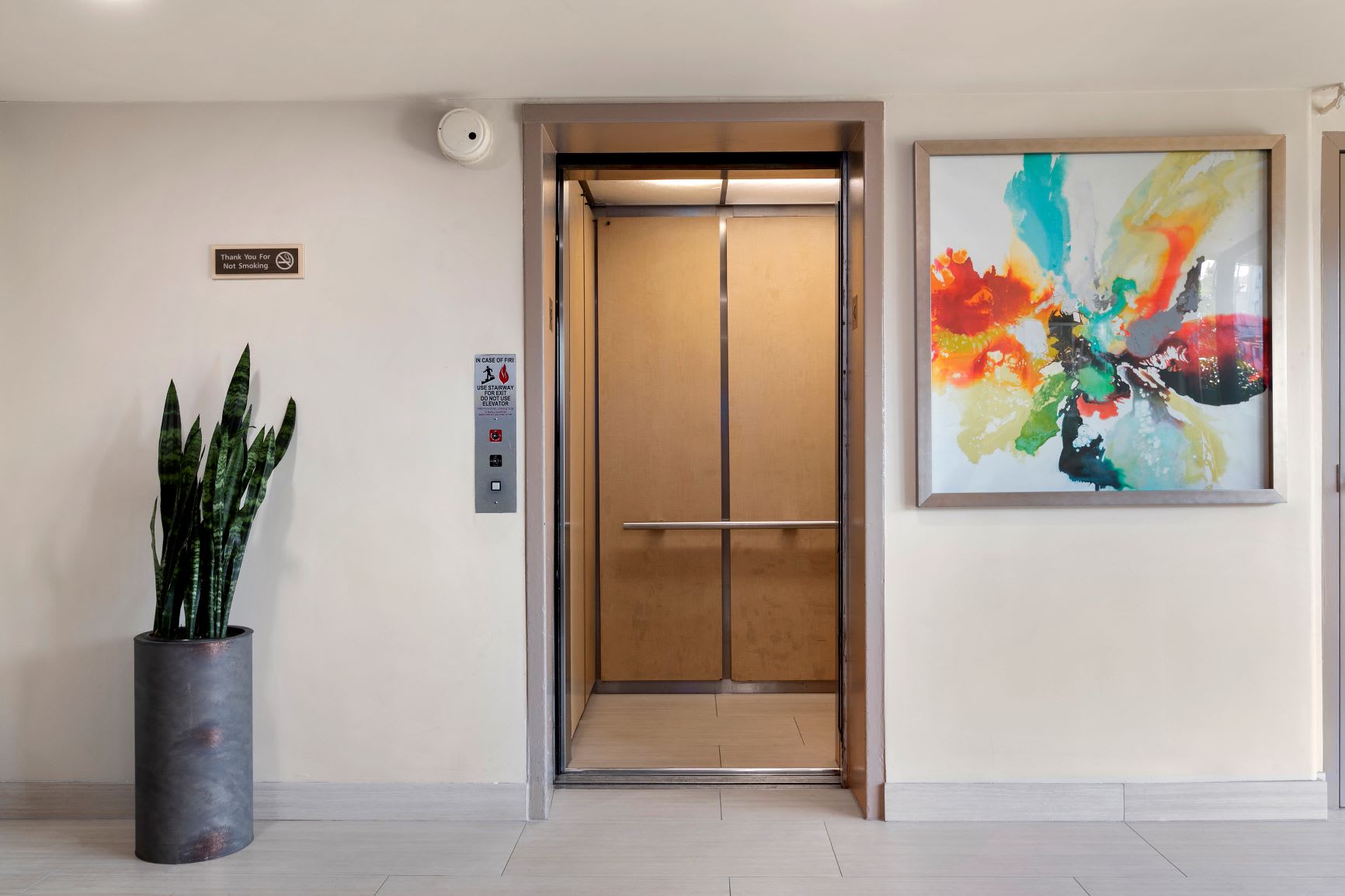 Vista Apartments – photo 5