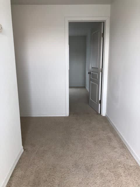 4 Bedroom 2.5 Bath with 2 car garage – photo 4