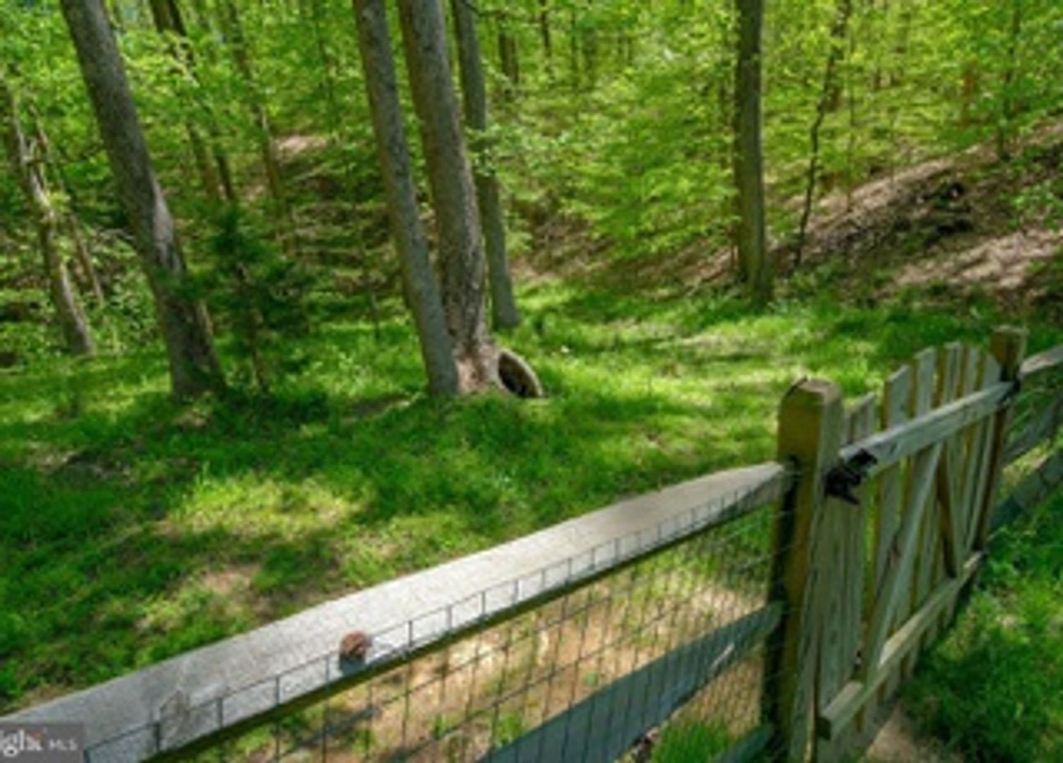 6 BEDROOM -MAGNIFICENT 10 ACRES OF PRIVACY – photo 5