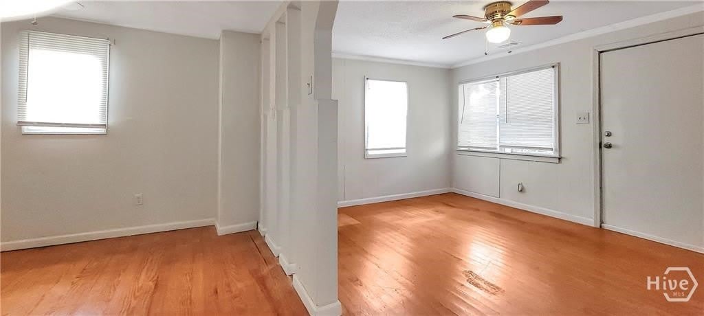 808 Wexler Street – photo 4