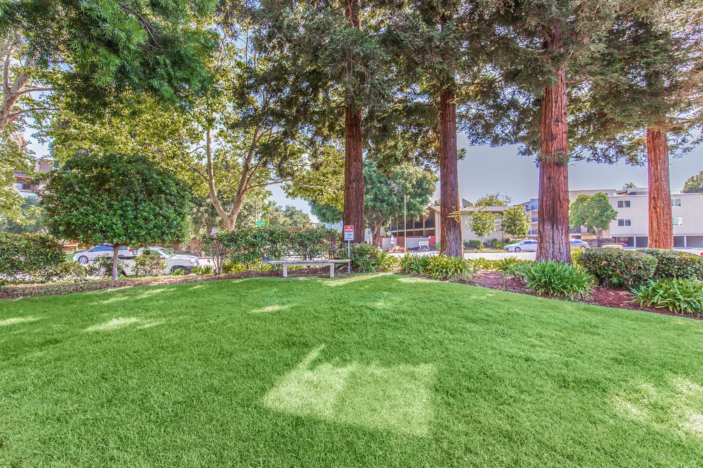 Paloma Vista Apartment Homes – photo 2