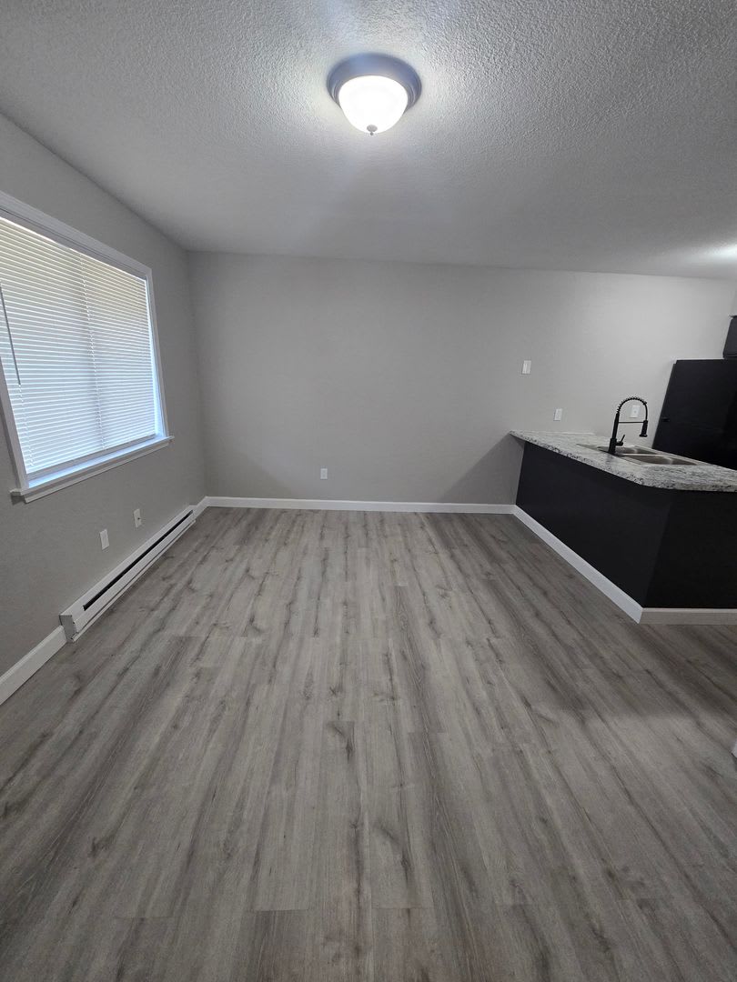 1 Bedroom 1 Bathroom Apartment – photo 5