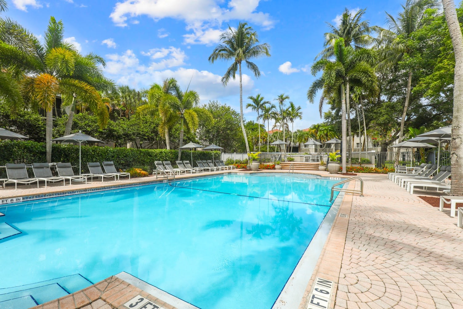 Coconut Palm Club – photo 5
