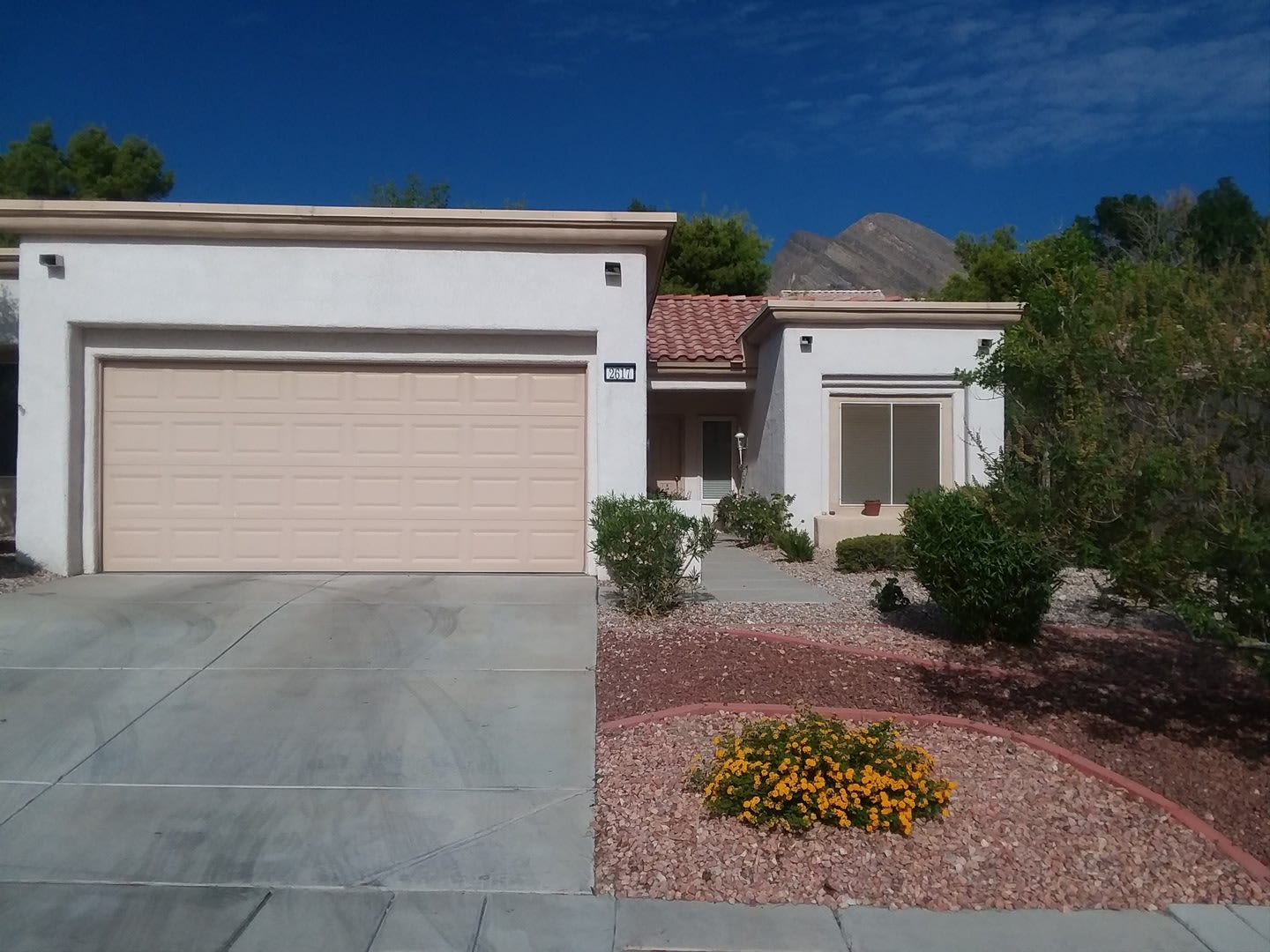 Furnished Rental in Sun City Summerlin! – photo 1