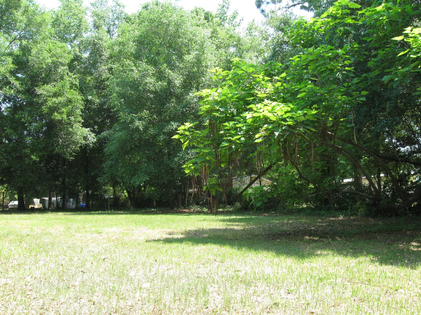 3 bedroom 1 bath house available September 1, 2026!! – photo 1