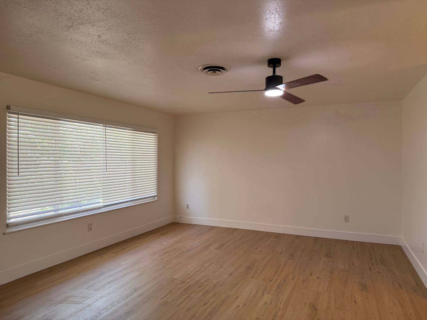 Beautifully Renovated 3 Bed 2 Bath – photo 4