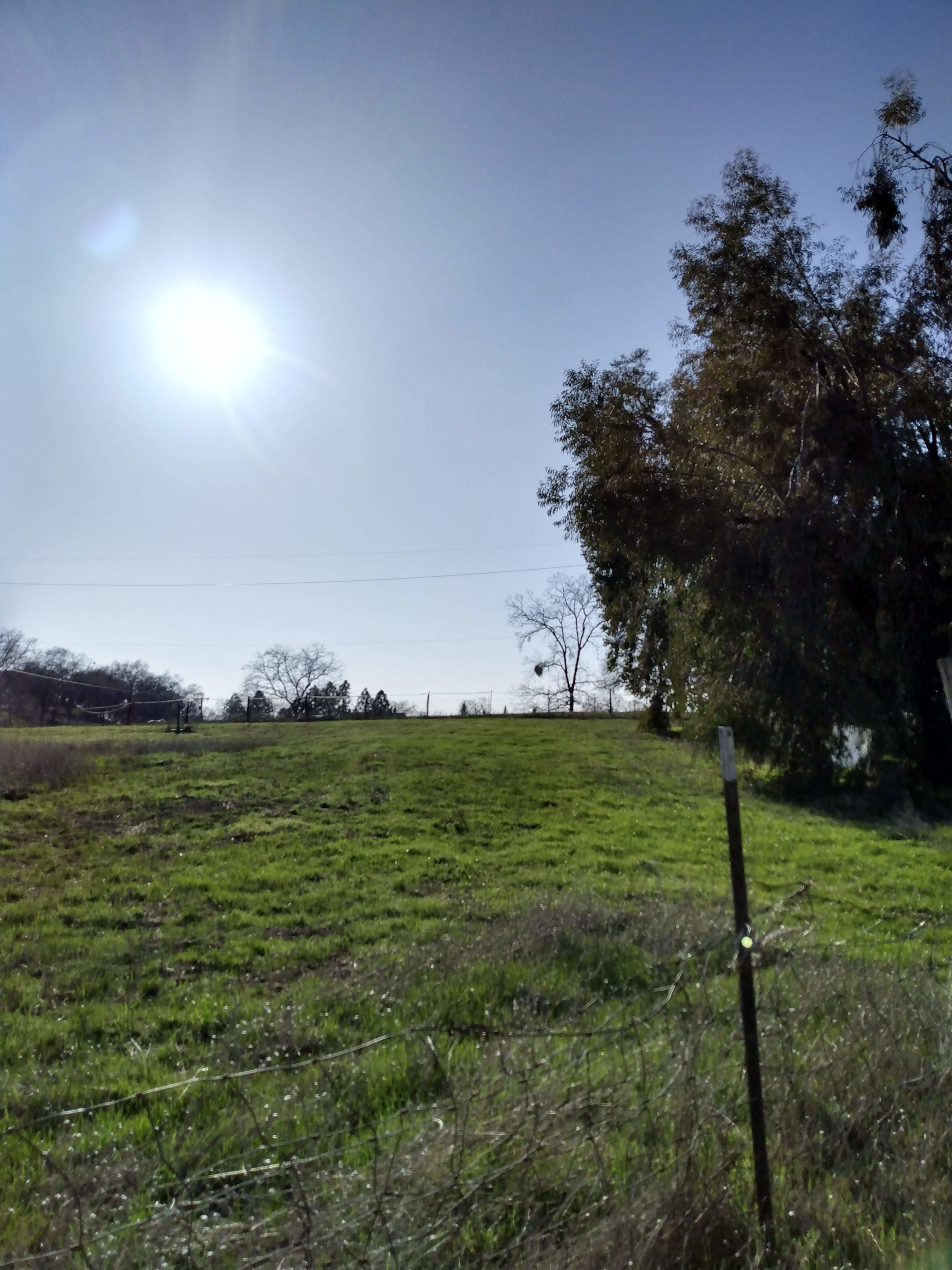 1401 Hamblen Way – photo 2