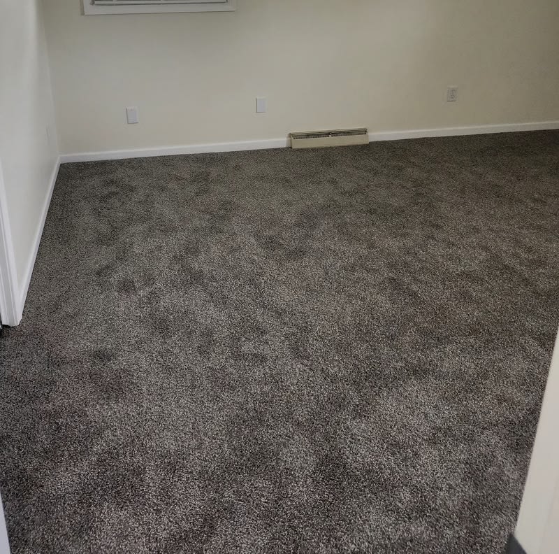 2420 45th Street – photo 3