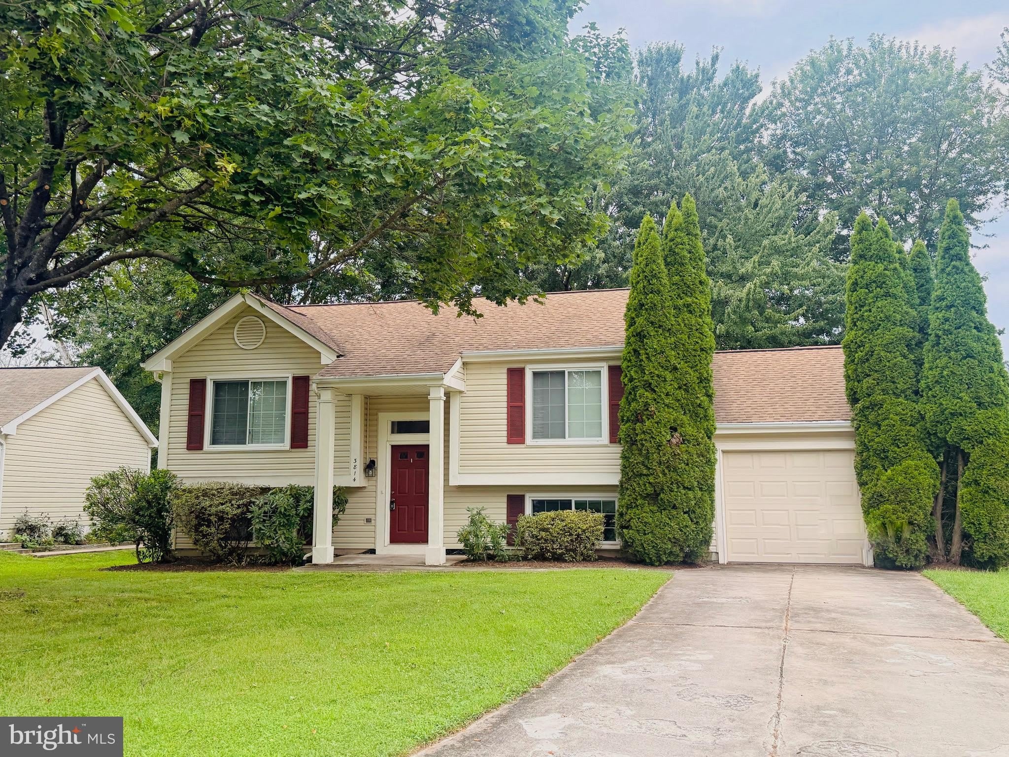 3814 BEECH DOWN Drive – photo 1
