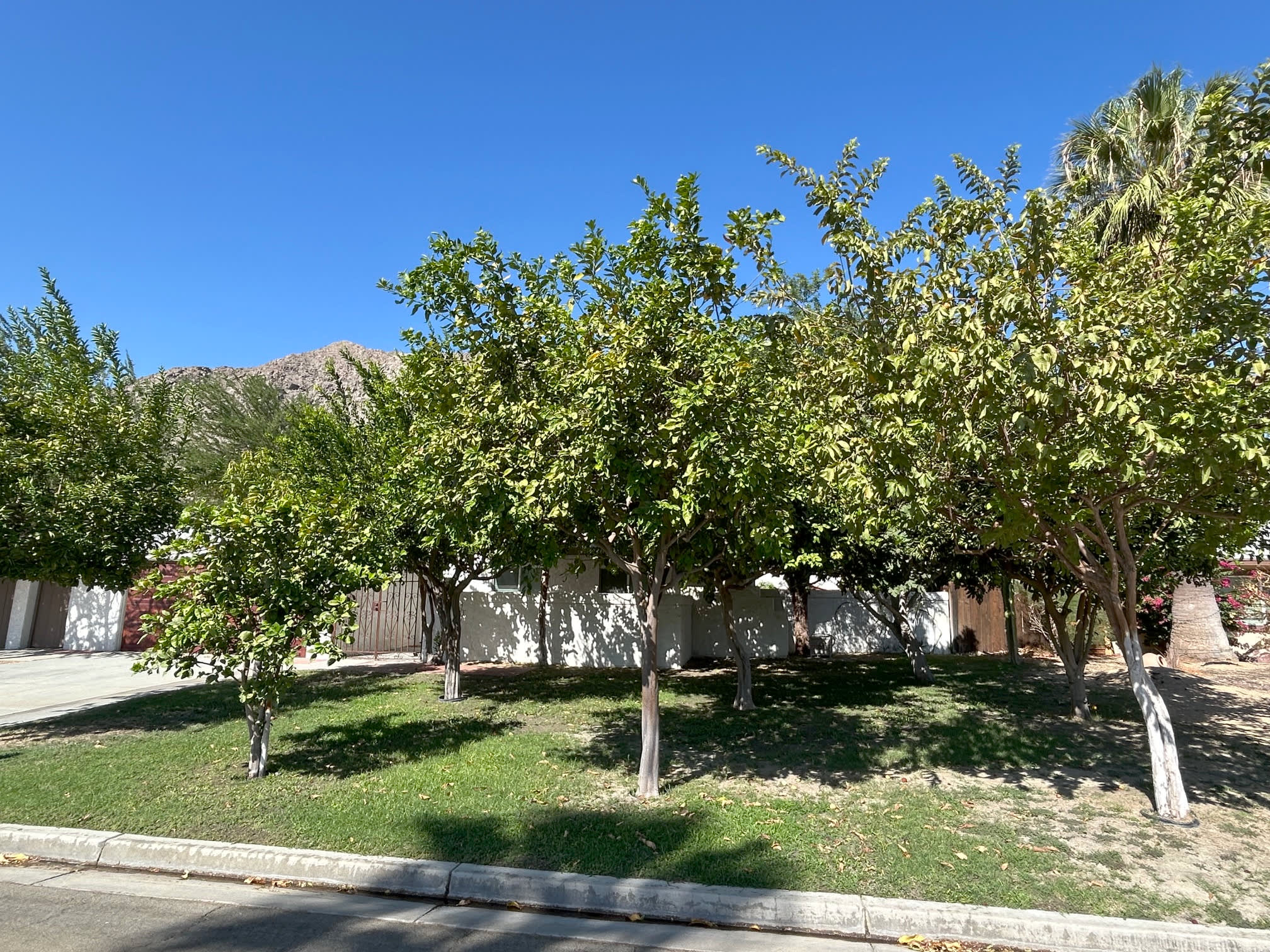 46705 Washington Street – photo 3