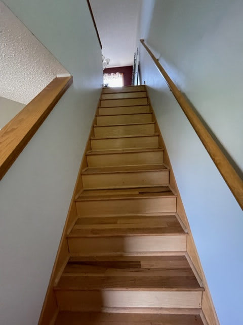 520 Tanager Path – photo 2