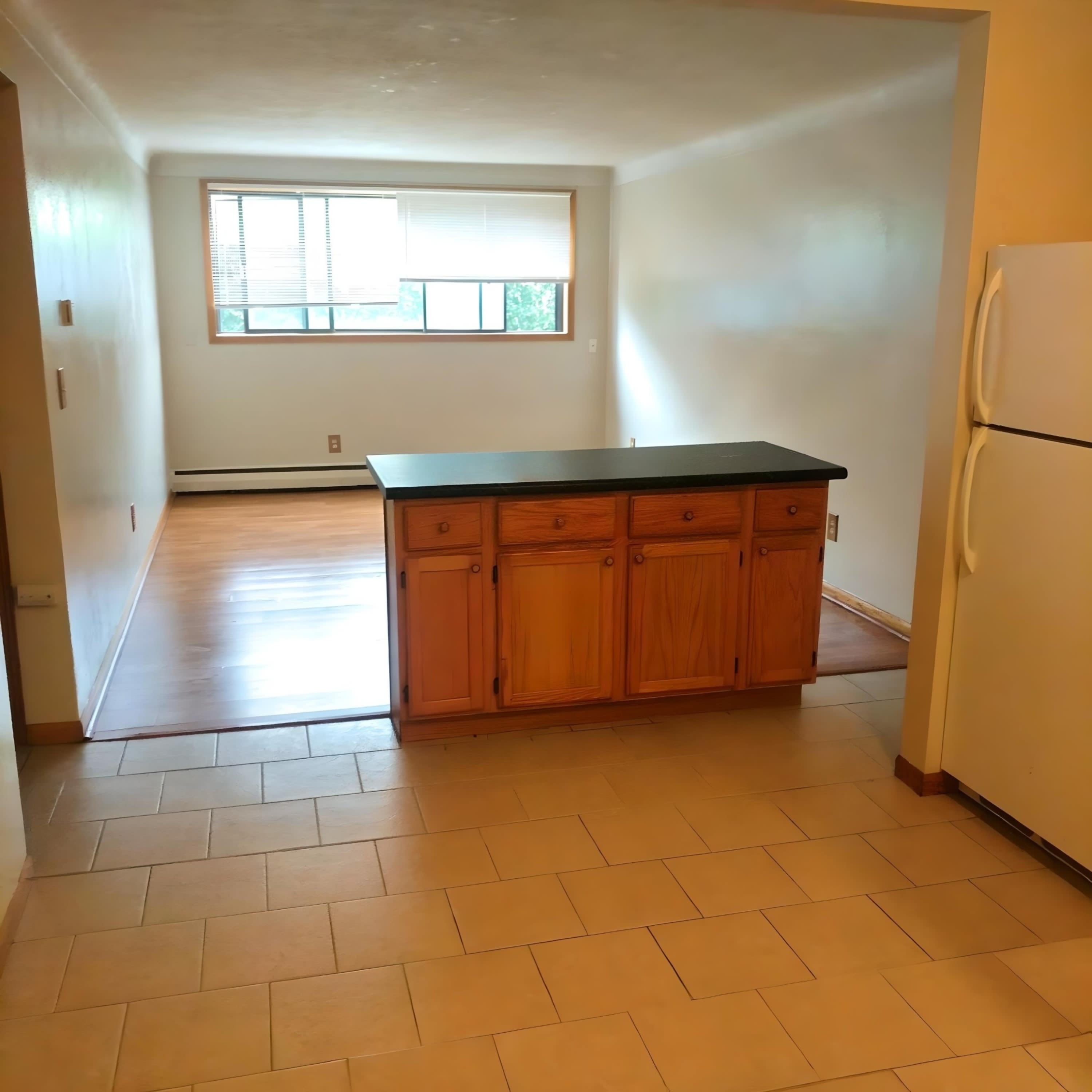 976 Robert Street – photo 3