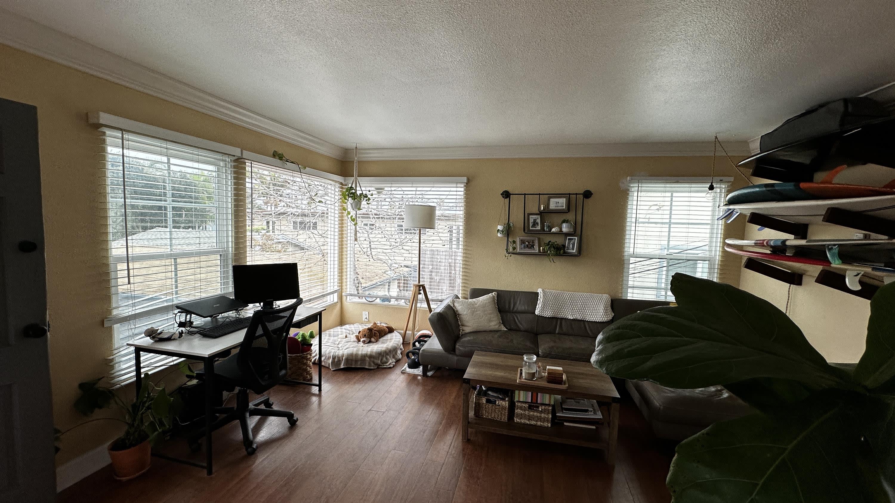4870 Muir Avenue – photo 3