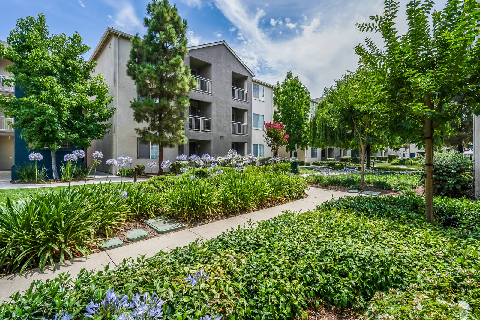 Pavona Apartments – photo 4