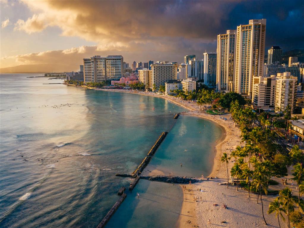 Lilia Waikiki – photo 3