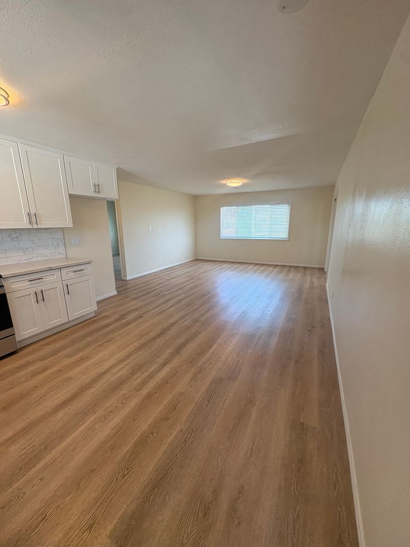 235 Wolff Street – photo 4