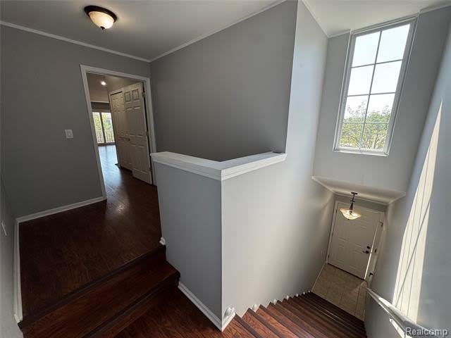 21083 Cooper Drive – photo 3