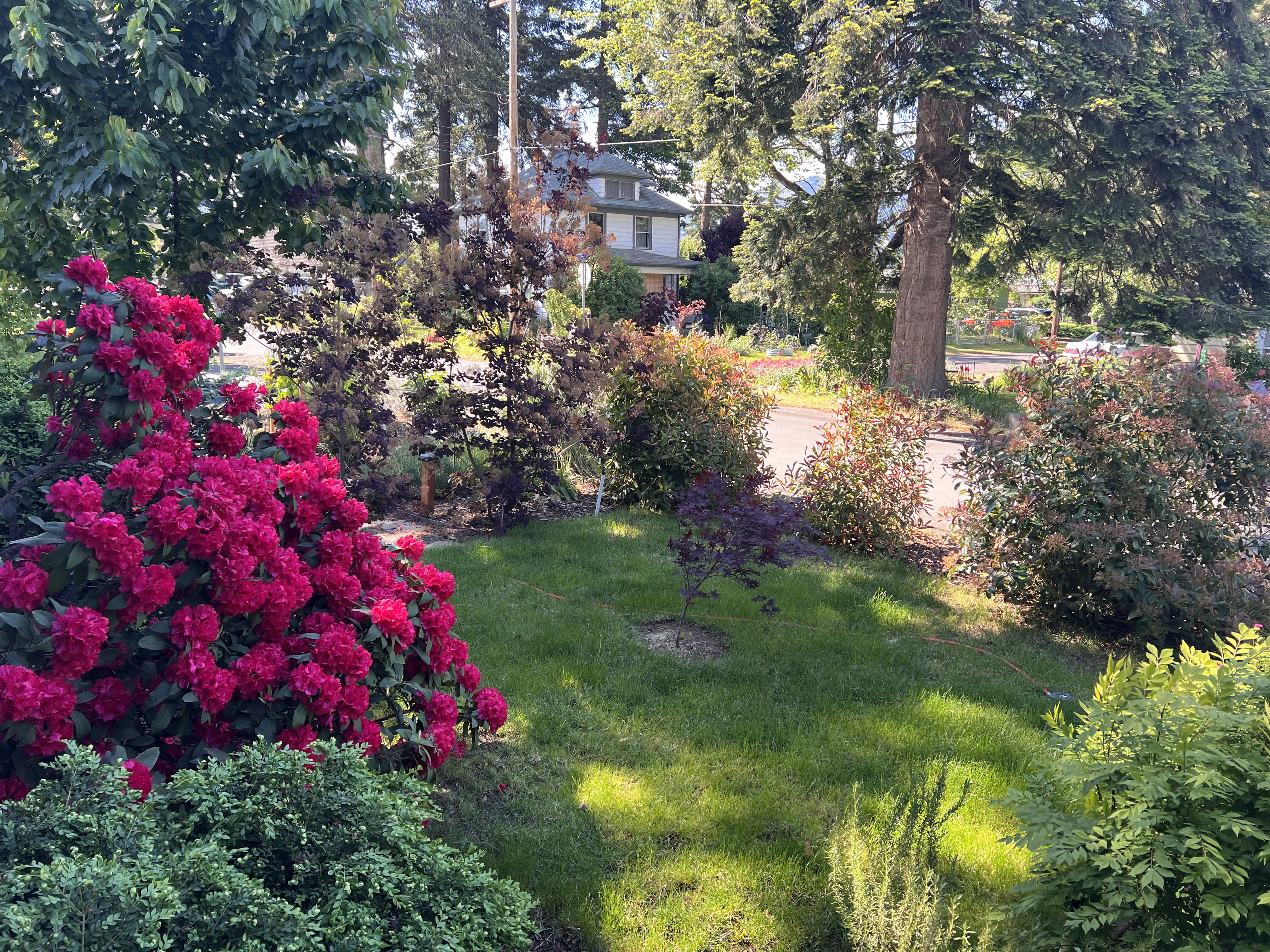 1513 B Street – photo 2