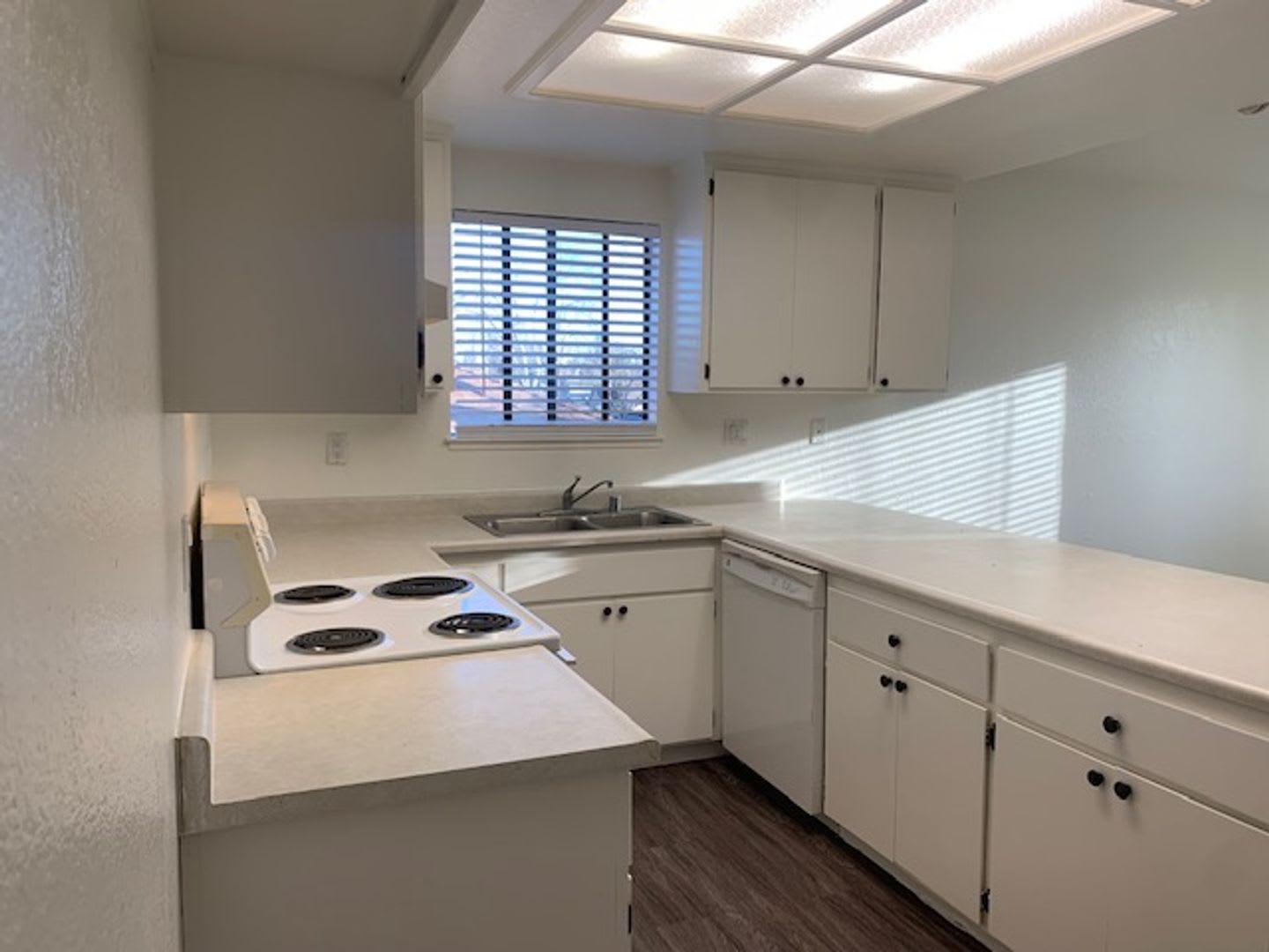 Your New Home! 2 bedroom in Roseville – photo 5