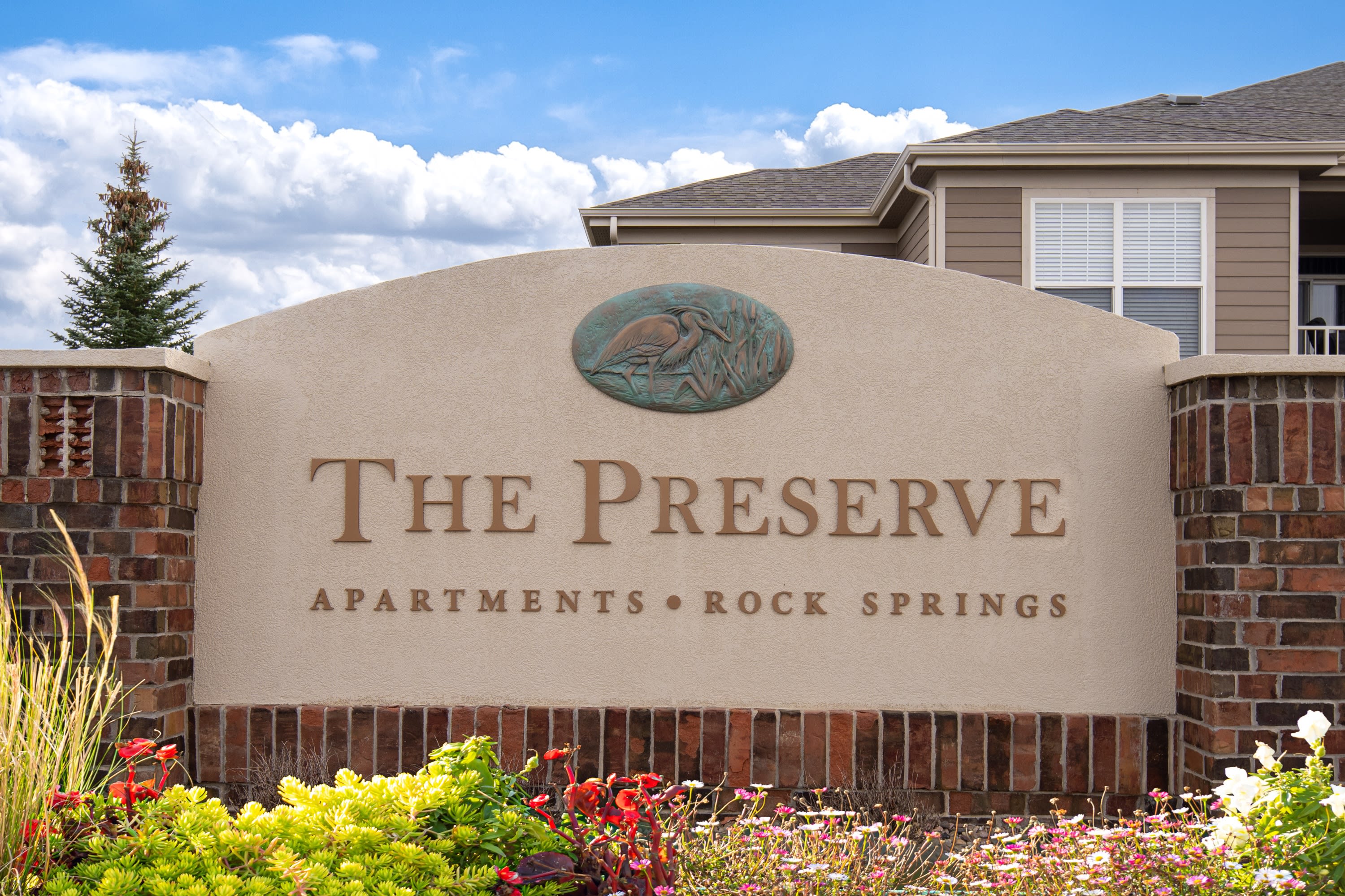The Preserve At Rock Springs – photo 3